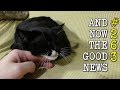 And Now the Good News #263: When Neutron Stars Collide!