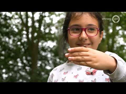 GLD Nieuws 17 juli 2020