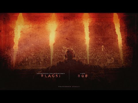 FLAGS! | 808 (Axwell Λ Ingrosso Mashup)
