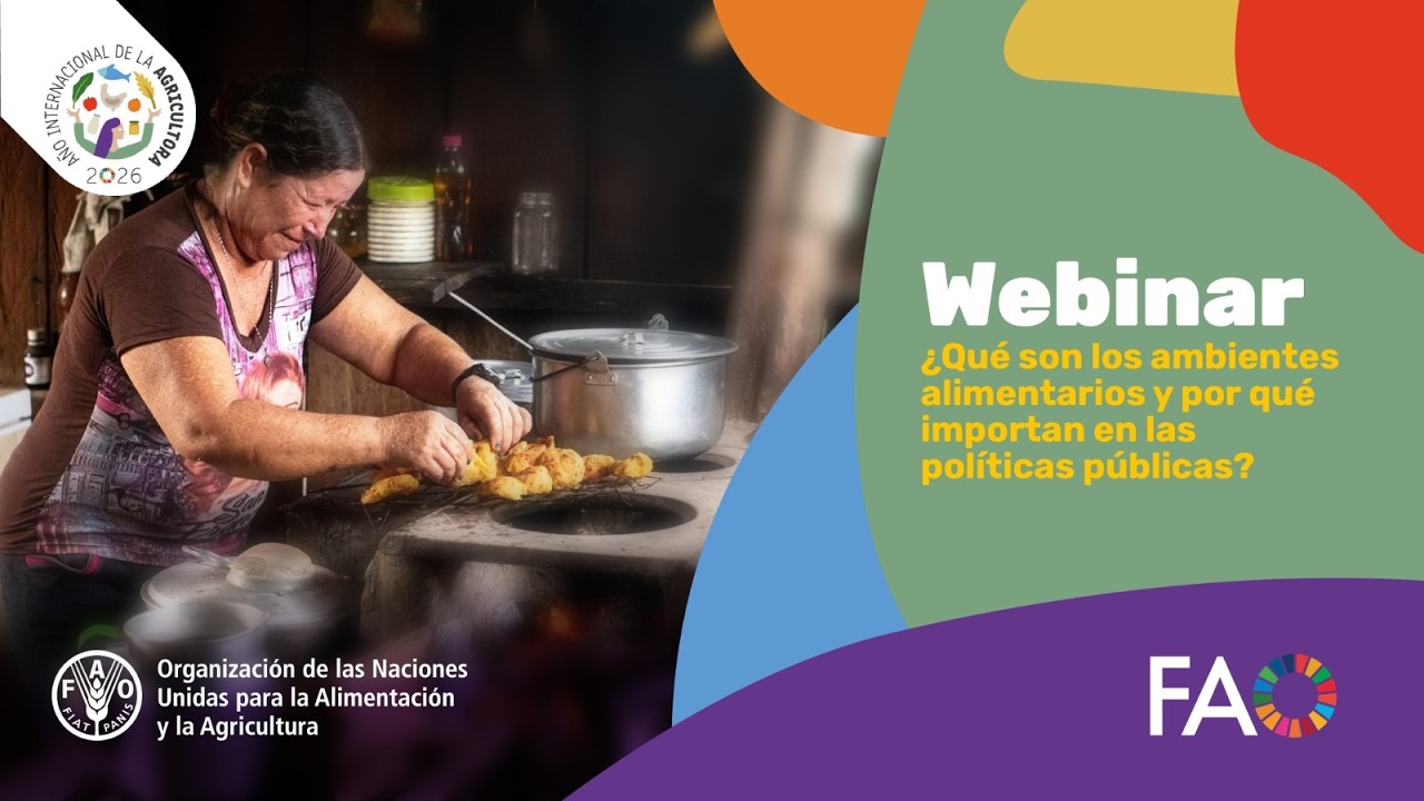 Webinar: ¿Qué son los ambientes alimentarios y por qué importan en las políticas públicas?