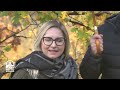 titolo video