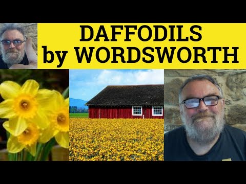 🔵 Daffodils Analysis - Daffodils by William Wordsworth Explained - I Wandered Lonely as a Cloud
