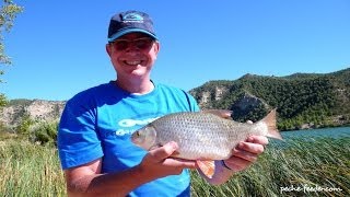 preview picture of video 'Pêche au feeder des gardons sur le fleuve Ebre en Espagne'