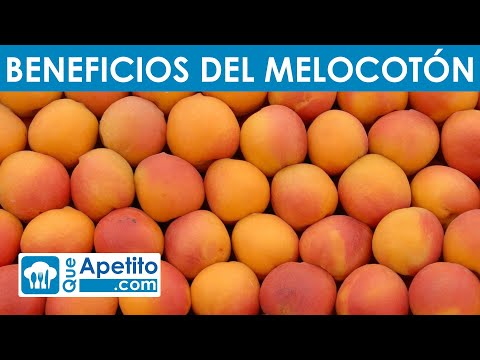 8 Propiedades y Beneficios del Melocotón | QueApetito