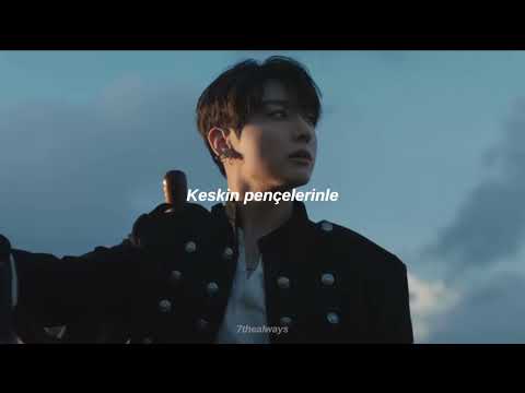 Bts 'Like Animals' (T&uuml;rk&ccedil;e &Ccedil;eviri)