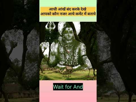 Reel tagged #harharmahadev