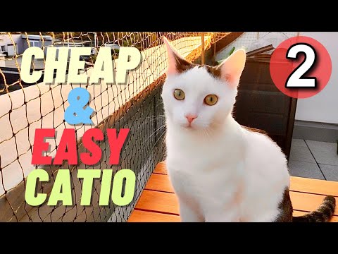 How To Make A Balcony for Cats - Easy And Simple DIY Catio For Cheap - Part 2