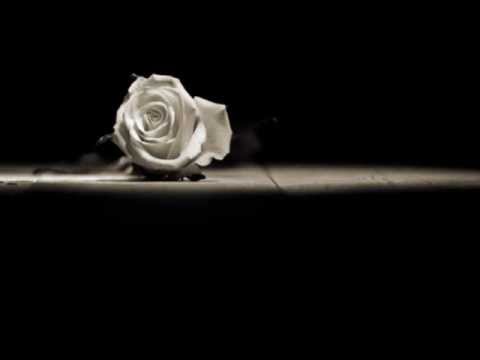 Bahram Jay - House 342