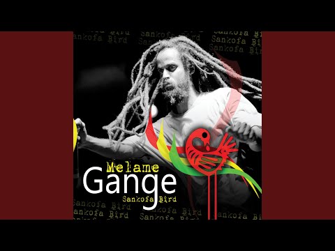 Good Will Fellow You