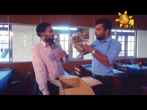 Hiru TV