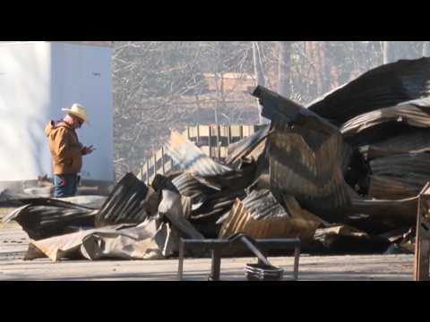 Barn fire kills 36 show horses in North Carolina