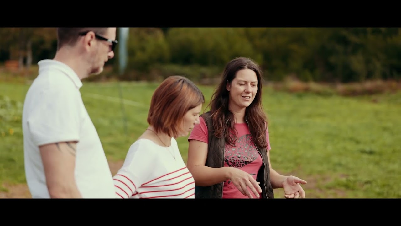 11 EXP Coquille verte