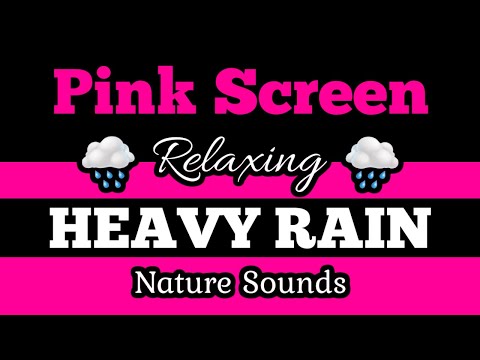 💟PINK SCREEN 🌧️HEAVY RAIN 🌲Soothing Nature Sounds