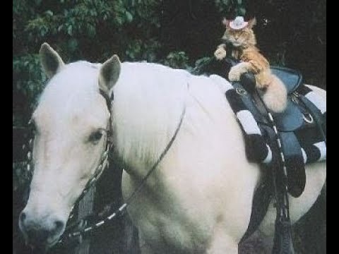 2023 F2P (BEST PROBABLY) Team By Team Farming Guide