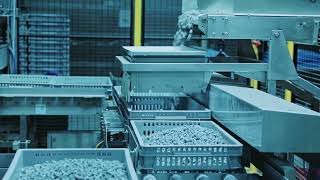 Automated control and filling of crates