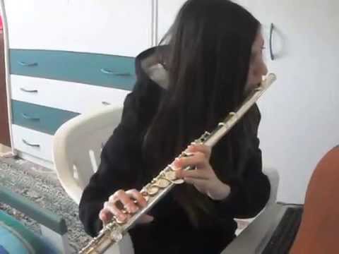 Taylor swift - love story -  Adagio -  Laura Pausini invece no -  My immortal con flauto traverso