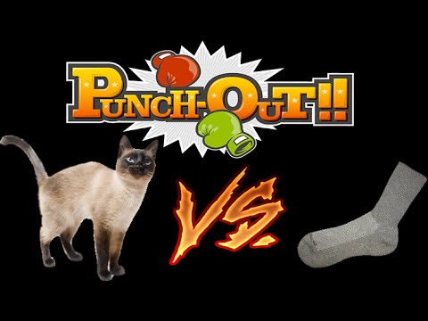 🥊 Live Action Punch Out  - Cat V.S. Sock