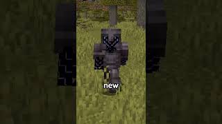 Mini Mod Reviews - Elegant Armor