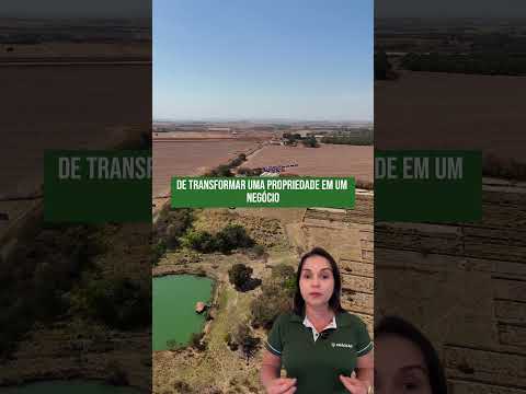 Ativo agroindustrial à venda em Palmeiras de Goiás (GO)