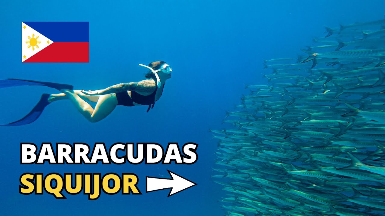 An adventure experiences snorkeling at Tulapos Marine Sanctuary.