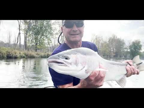 Short: Manistee River in Michigan | Fishing for steelhead | American Rivers Tour