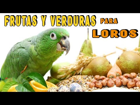 The BEST FRUITS and VEGETABLES for PARROTS 🦜 or Parakeets!