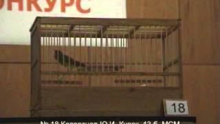 580. 67й Московский конкурс песни Русской канарейки