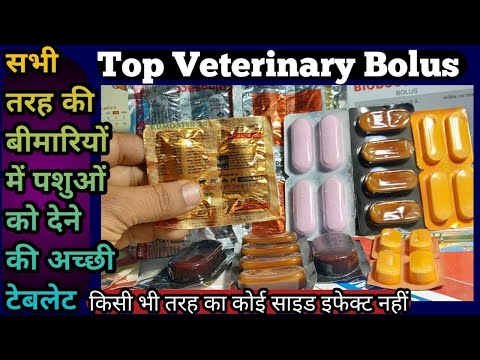 Top Veterinary Bolus:-सभी तरह की बीमारियों में पशुओं को खिलाने की सबसे अच्छी टेबलेट||Vet-Medicine