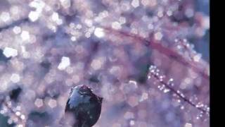 Delerium feat Leigh Nash - Innocente