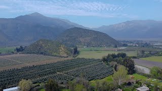 La Voz del Territorio GROSCann A.G.