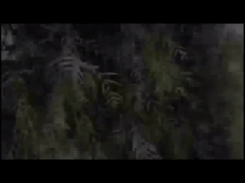 Goianésia x Santa Helena - FGFTV