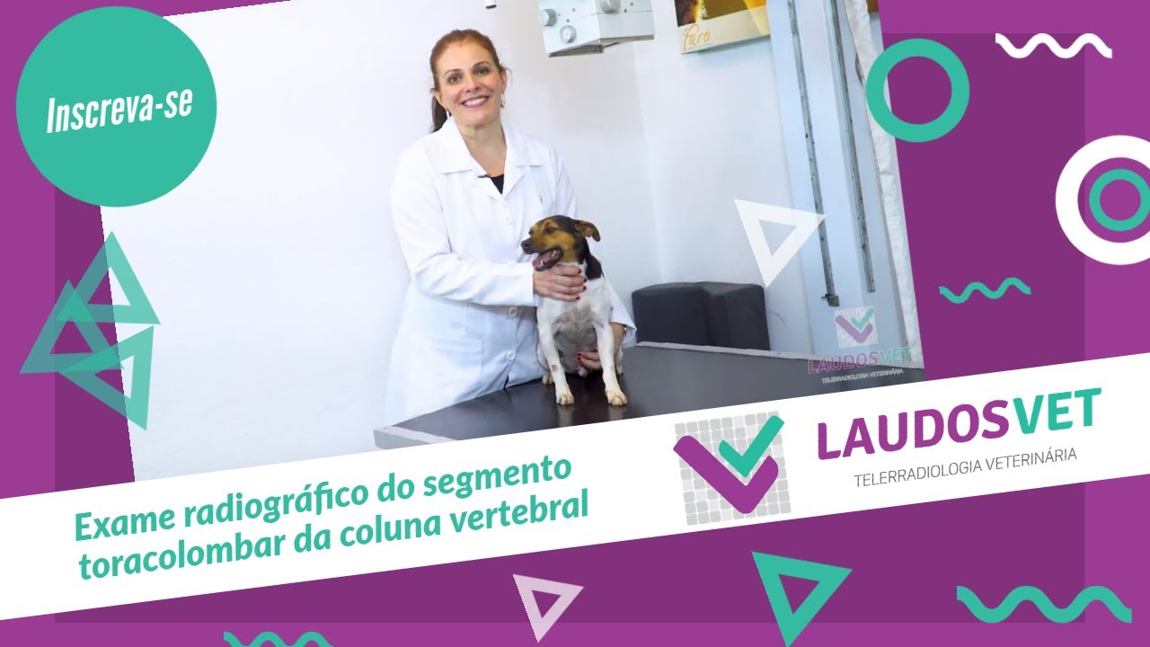 Exame radiográfico do segmento toracolombar da coluna vertebral