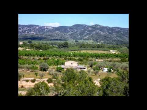 Ginestar and river Ebro area Properties