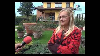 RTV Šumadija - Rasadnik Kedar - za formiranje vrta i lišćari i četinari i žbunovi