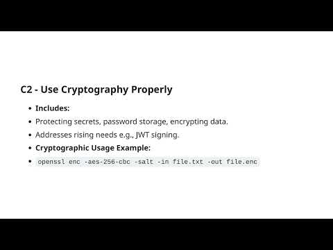 Exploring the OWASP Top 10 Proactive Controls 2024