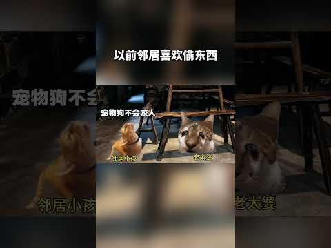集中注意力，咬好每一口#搞笑 #猫meme