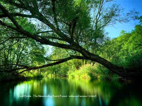 Gaël Brulin - The Neverending Rain's Forest ~enhanced version~ (2007)