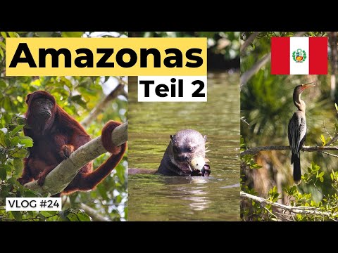 Lake Sandoval Tambopata - 4 Tage Amazonas (Teil 2) | Peru Vlog #24