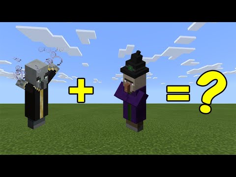 MrPogz Zamora - I Combined an Evoker and a Witch in Minecraft - Here's What Happened...