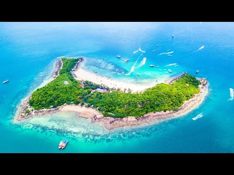 Highly's Day Off - An Island Adventure!