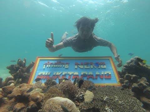 Wisata GILI KETAPANG Fadil Speeed