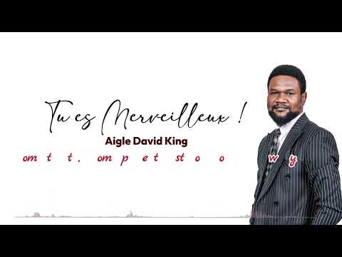 TU ES MERVEILLEUX HD