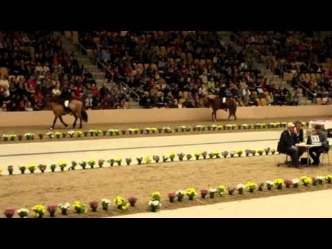 Odense 2013 V1 A-Finale