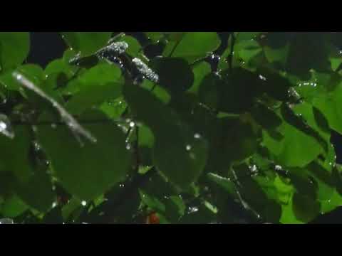 A.S.D.  & Kriso Malkiq  - Apeliram