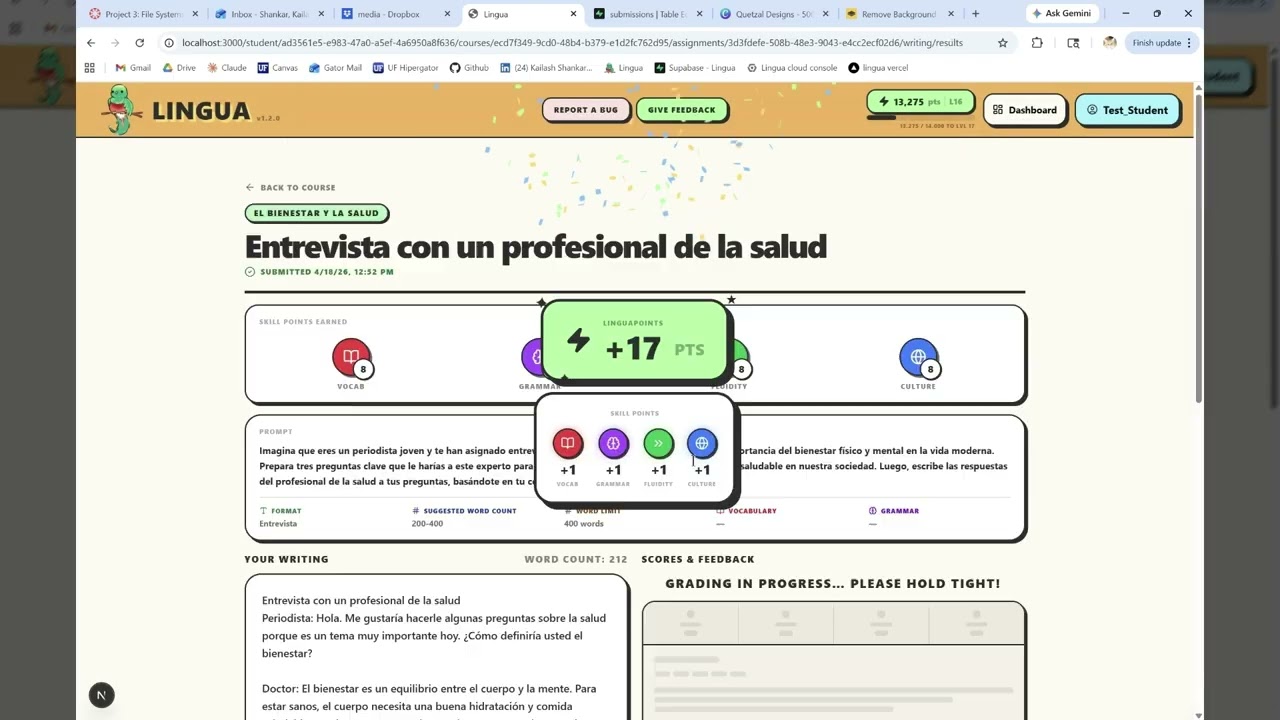 Lingua Writing Assignment