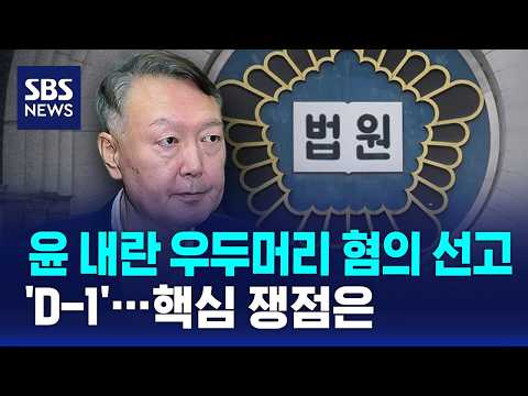 윤 내란 우두머리 혐의 선고 'D-1'…핵심 쟁점은 / SBS