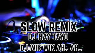 Download lagu DJ HAY TAYO VS WIK WIK AH..AH..SLOW REMIX mp3