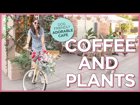 加州帕薩迪納老城探索！最可愛的「寵物友善」咖啡店「咖啡與植物」 (Coffee and Plants - The Cutest Coffee Shop in Old Pasadena, California)