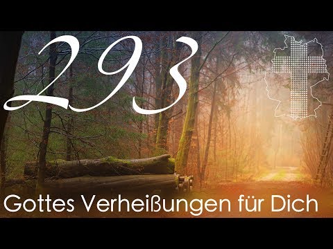 Gottes Verheißungen für Dich - Sprüche 19,23 | Videokalender 293/365 - Deutschland braucht JESUS