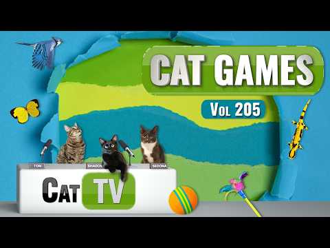 CAT Games | Ultimate Cat TV Compilation Vol 205 | 8 HOURS 🐝🐞🦋🦎🦜🐜🐭🧵